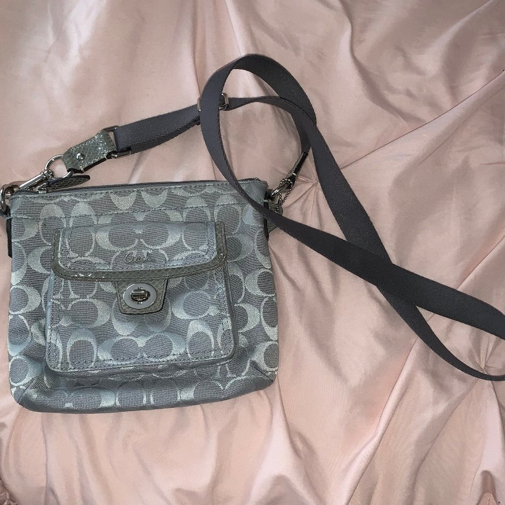 Gray Coach Crossbody Bag